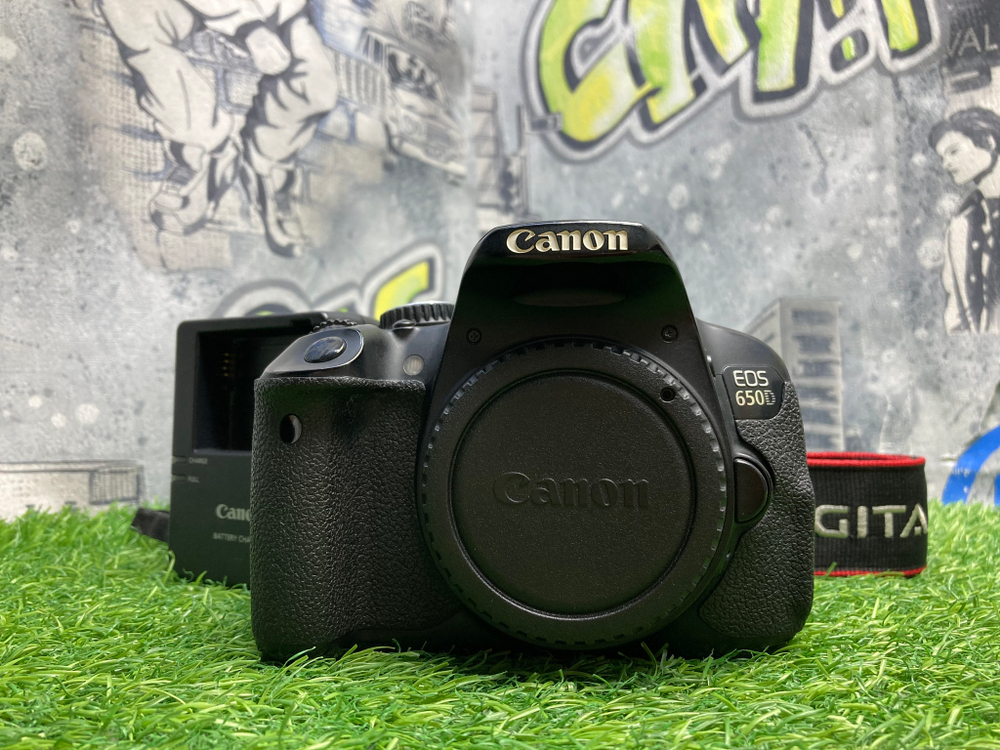Canon EOS 650D (230.000 кадров)