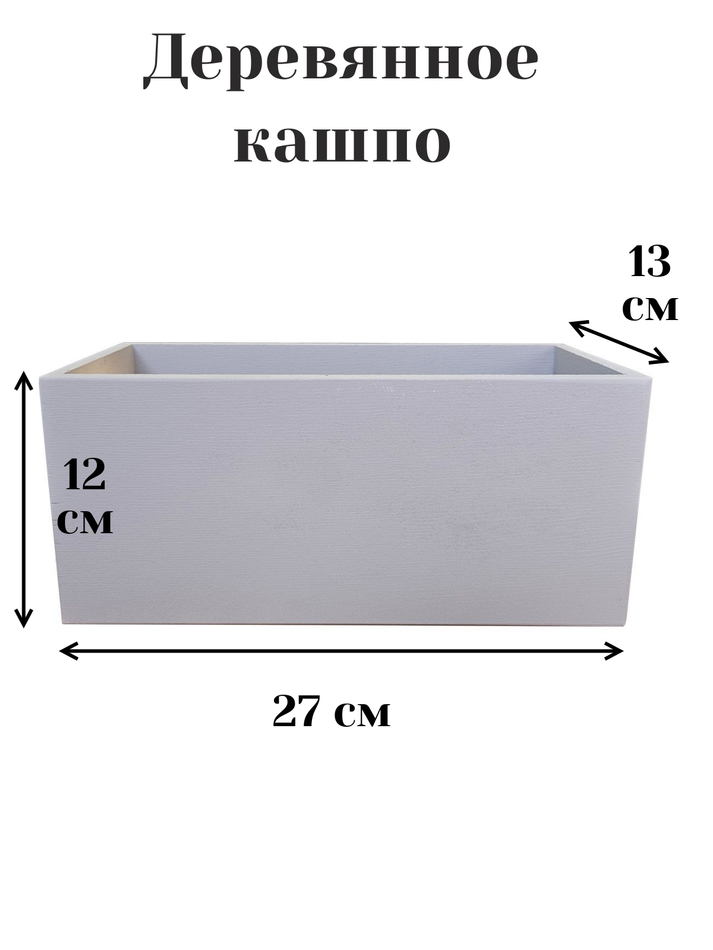 Композиция Тропическая из растений в кашпо