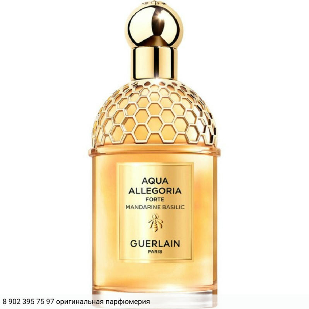 Aqua Allegoria Mandarine Basilic Forte
