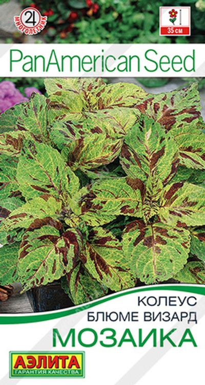 Колеус блюме Мозаика 5 шт (Аэлита)