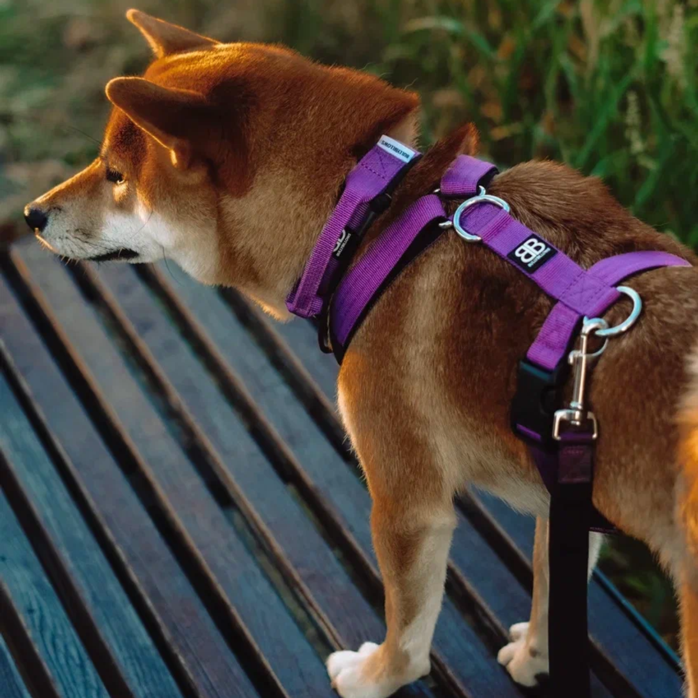 Шлейка TRI BullyBillows