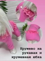 Трикотажный комбинезон для собак и кошек