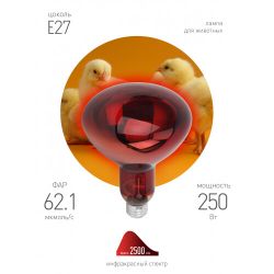 Инфракрасная лампа ЭРА ИКЗК 220-250 R127 кратность 1 шт Е27 / E27 для обогрева животных и освещения