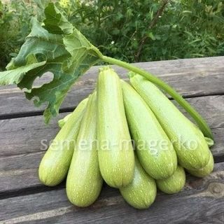 Кабачок Марселла F1 500 (семян)