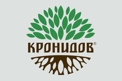 Кронидов
