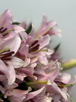 Лилии в плетенной сумочке