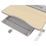 Комплект растущей детской мебели Fundesk Cura парта + стул + выдвижной ящик + подставка + лампа