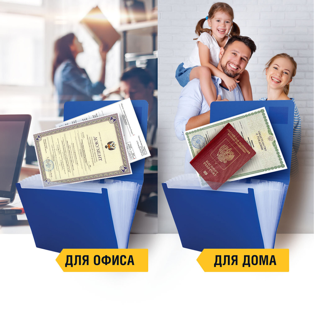 Папка на резинках BRAUBERG "Business" А4 13 отделений пластиковый индекс синий 0 5 мм (3 штуки в упаковке)