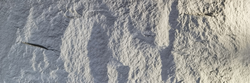 STONE SKIN 2400