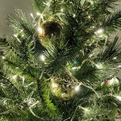 ENON-5B ЭРА Гирлянда LED Нить 5 м теплый свет, 24V, IP44