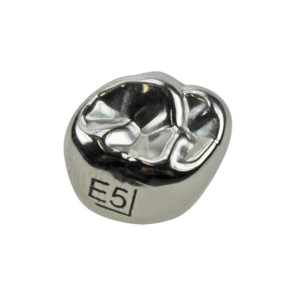 Второй верхний правый моляр, размер 5 (E-UR-5)