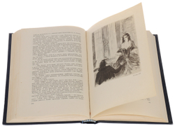 Консуэло (комплект из 2 книг)