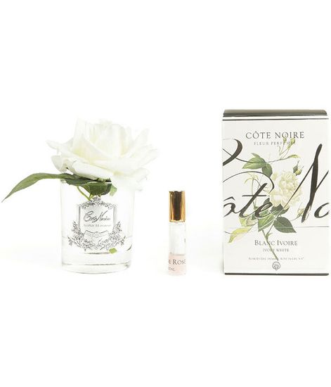 Роза ароматизированная цвета слоновая кость в прозрачной вазе, Cote Noire