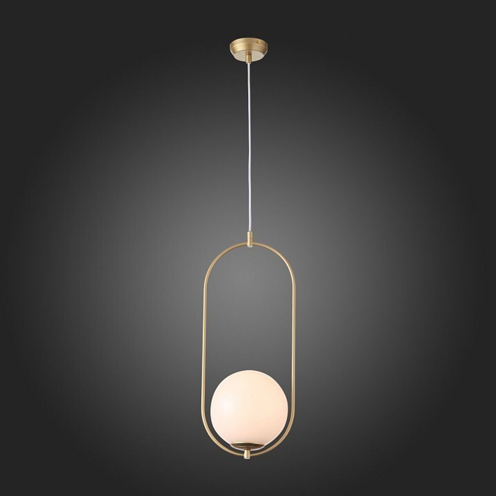 Подвесной светильник ST-Luce Penolo SL1118.203.01