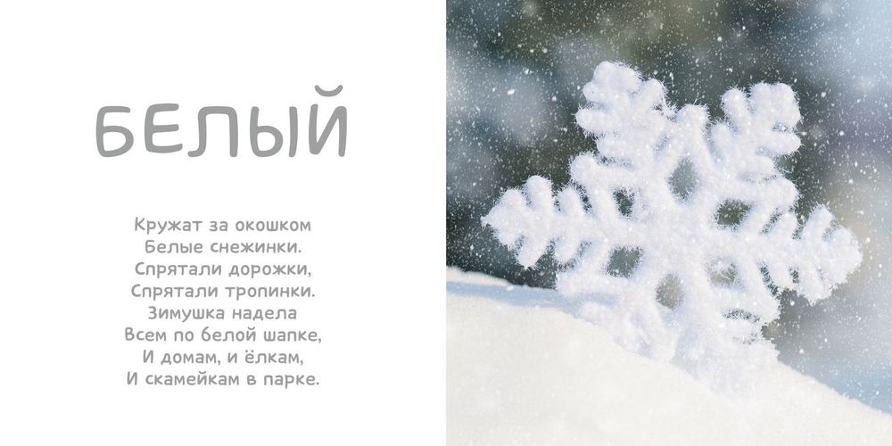 Мои первые слова. Фото-книга. Цвета МИНИ