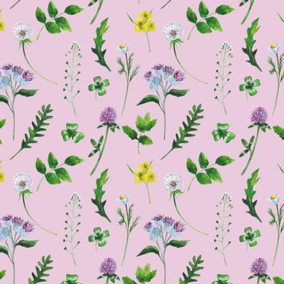 Дикие травы и полевые цветы на розовом фоне