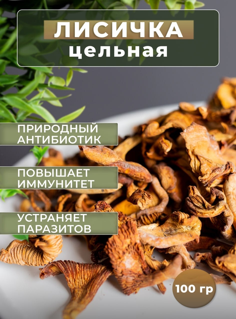 Лисичка цельная