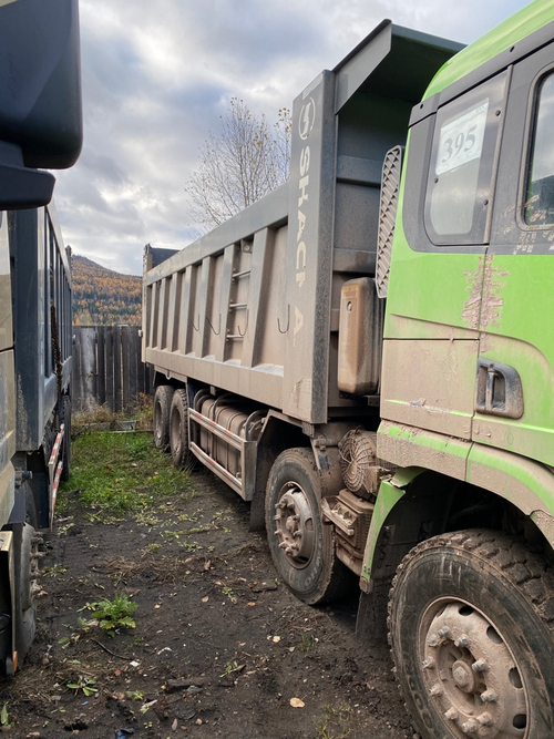 Shacman (Shaanxi) SX* 8x4 Самосвал SX33186V366 (Дизельный, 11,6 л, 423 л.с., МТ)