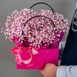 Сумочка розовой гипсофилы