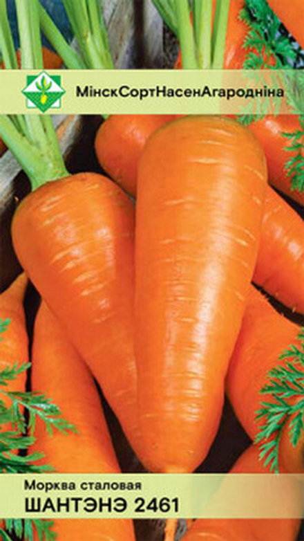 Морковь "Шантенэ 2461" 1.5г, Польша.