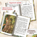 Проводник, или Пять кедровых орешков