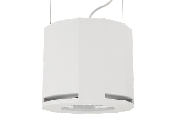 CVGAUDIO SUBone model D-6W/CR подвесной сабвуфер, мощность 80W/160W.