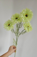 Гербера / Арт 2399