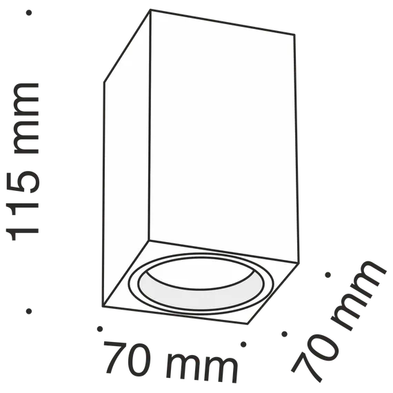 Потолочный светильник Фокус / Focus 1*GU10 10 Вт Technical c011cl-01w