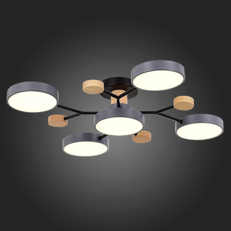 Светильник потолочный Evoluce Faema SLE6006-702-05