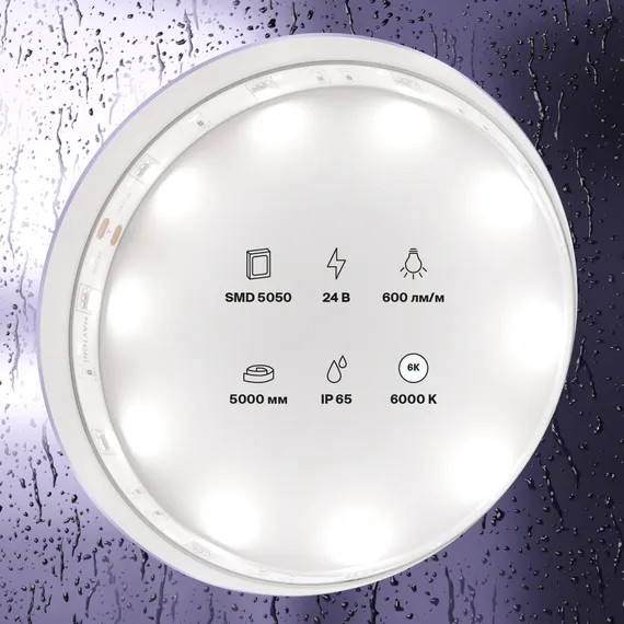 Светодиодная лента 24В 5050 7,2Вт/м 6000K 5м IP65 Led Strip 10165