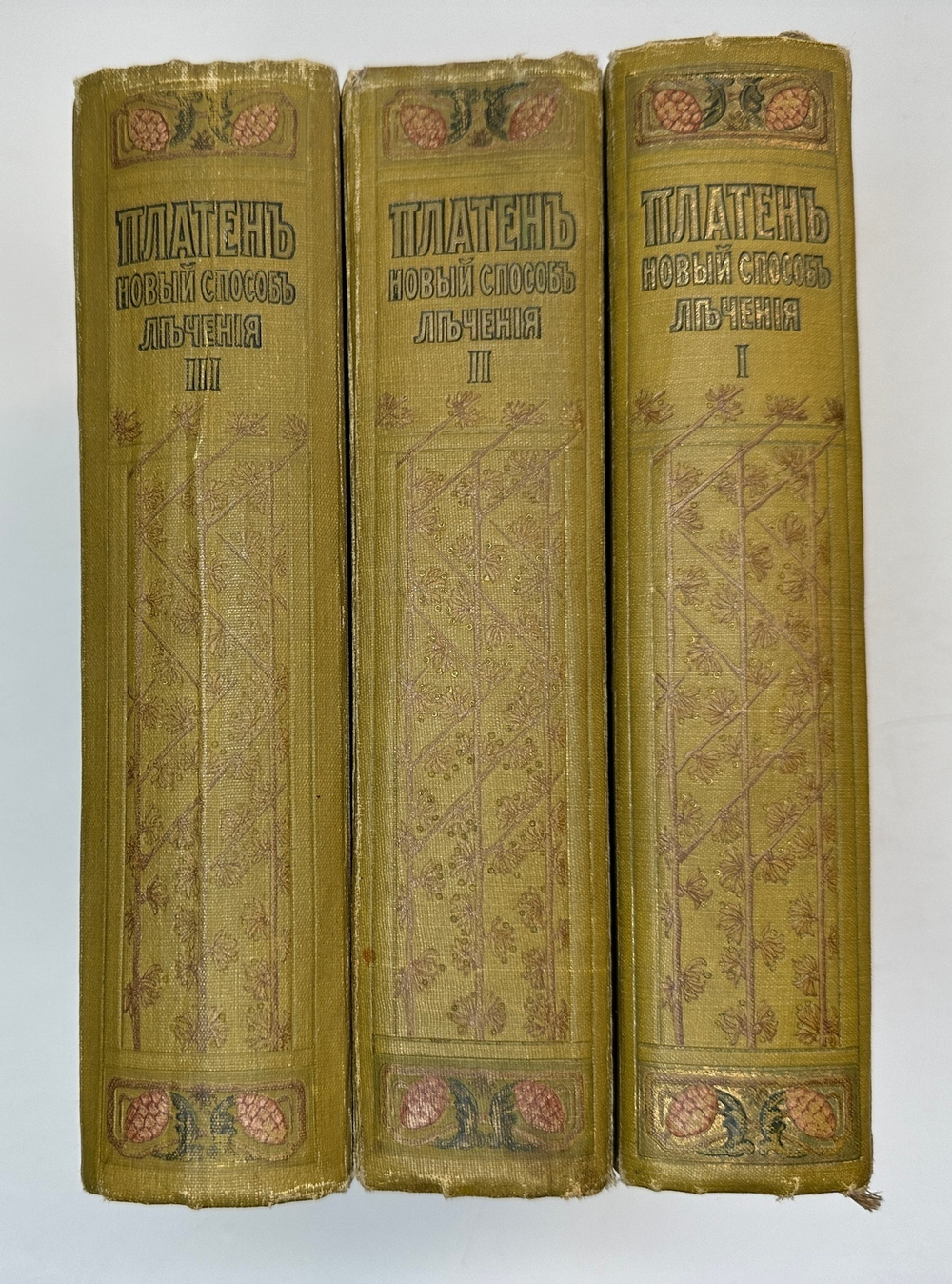 Платен М. Новый способ лечения. Лечение целебными силами природы. — Берлин: Изд. Просвещение, 1901