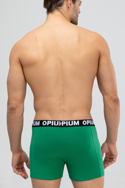 Мужские трусы R-152 Green Opium