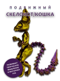 Скелет Кошки