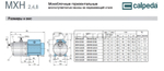 Горизонтальный многоступенчатый насосный агрегат из нержавеющей стали Calpeda MXH 203