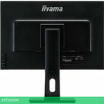 Монитор Iiyama ProLite XUB2595WSU-B1