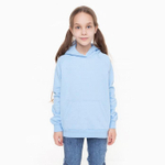 Джемпер для девочек футер с начёсом А.ХДет-302, голубой, р.134 9436743 (RADI)