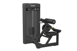 Разгибание спины Spirit SP-4310