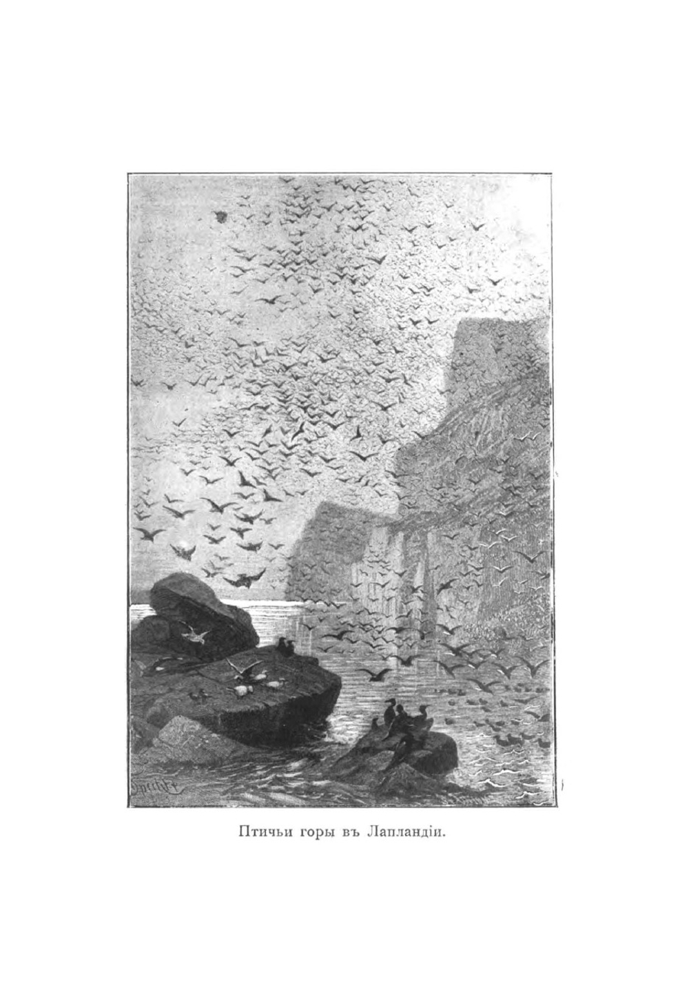 Лопари | Харузина Вера Николаевна