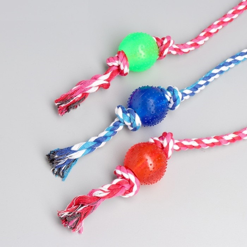 Игрушка-дразнилка для собак с мячиком, 95 г, до 54 см