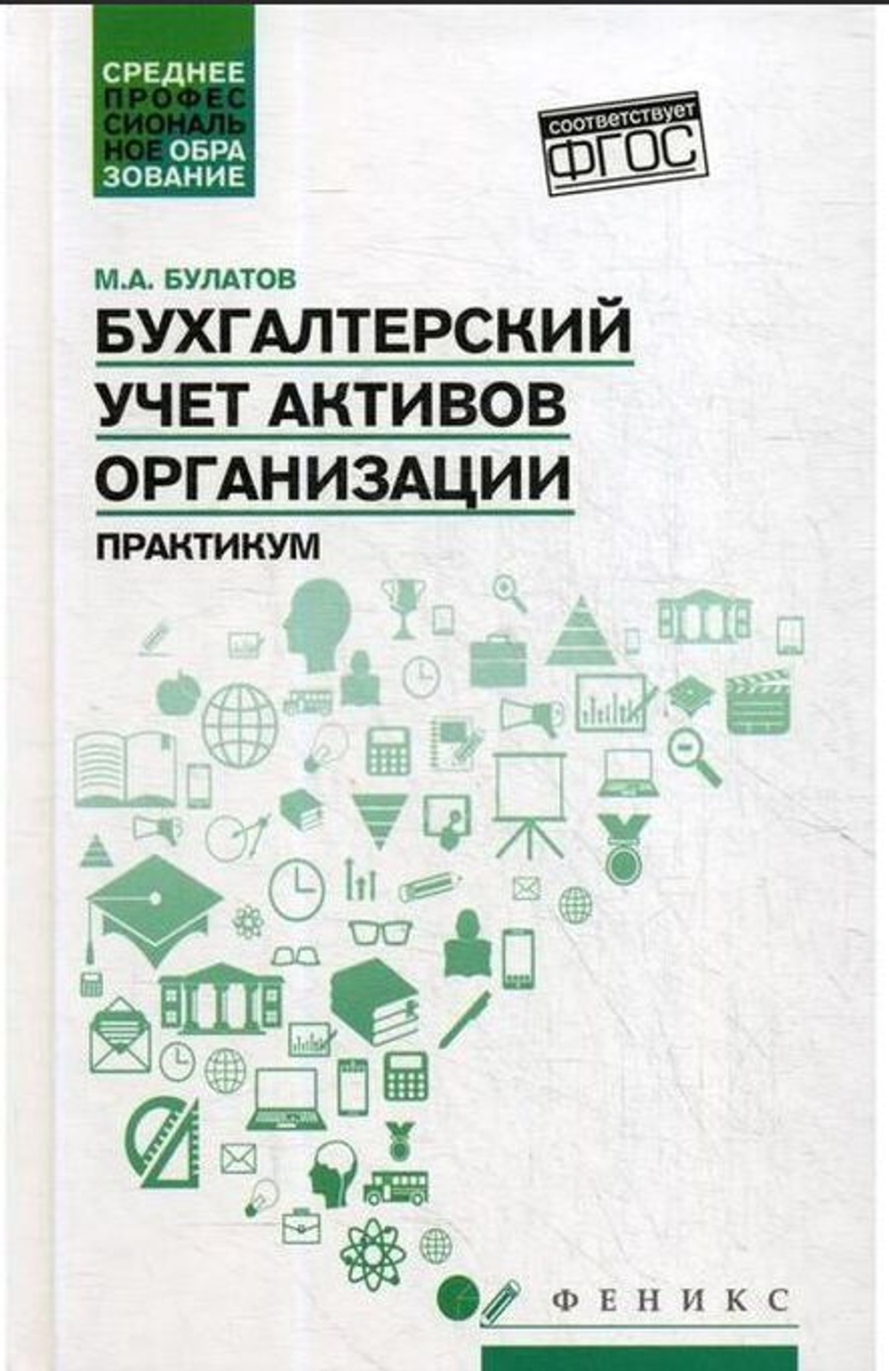 Бухгалтерский учет активов организации: практикум