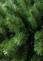 Ель искусственная «Дивная» (пвх) 150 см / 1.5 м