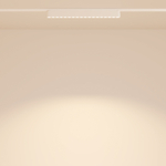 Магнитный трековый светильник Maytoni Points TR082-1-18W3K-M-W