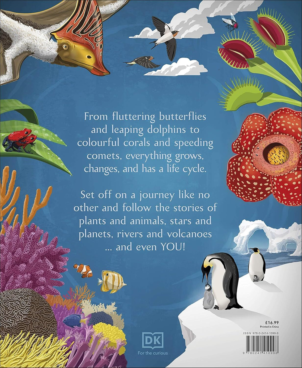 Life Cycles: Everything from Start to Finish (HB)