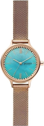 Женские наручные часы Skagen SKW2977