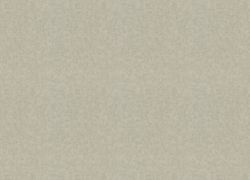 Otaru / Kumano / Surface