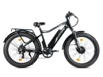 Электрофэтбайк VOLTECO BigCat Dual Next (черный)