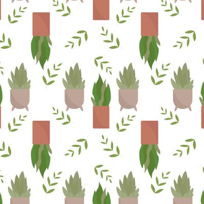 Домашнее растение