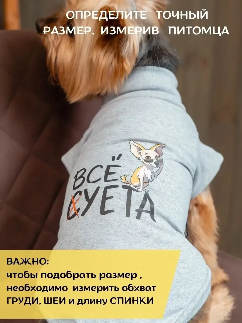 Футболка для собак мелких средних пород и кошек