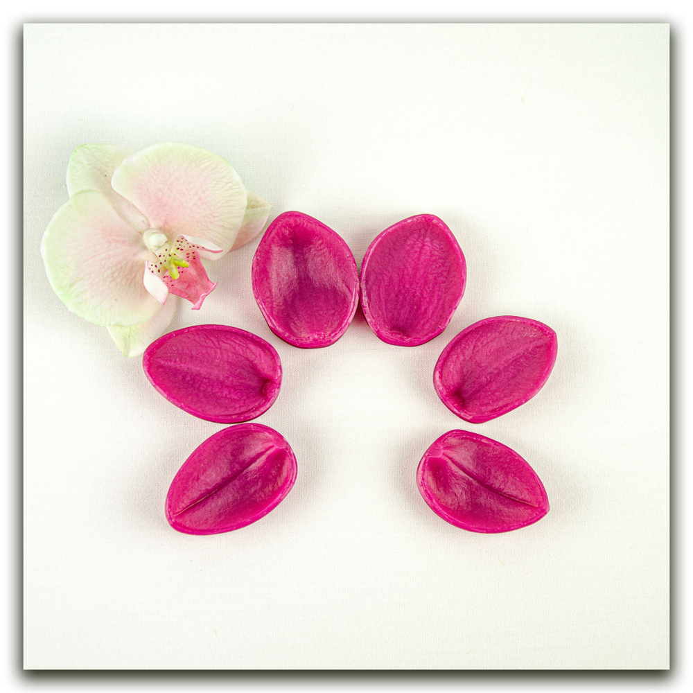 Орхидея фаленопсис M (+боковые лепестки размера S)