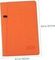 Gündəlik/Ajanda/Ежедневник/Diary Planner 2024 orange